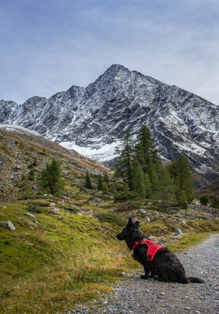 Wildcamping Österreich