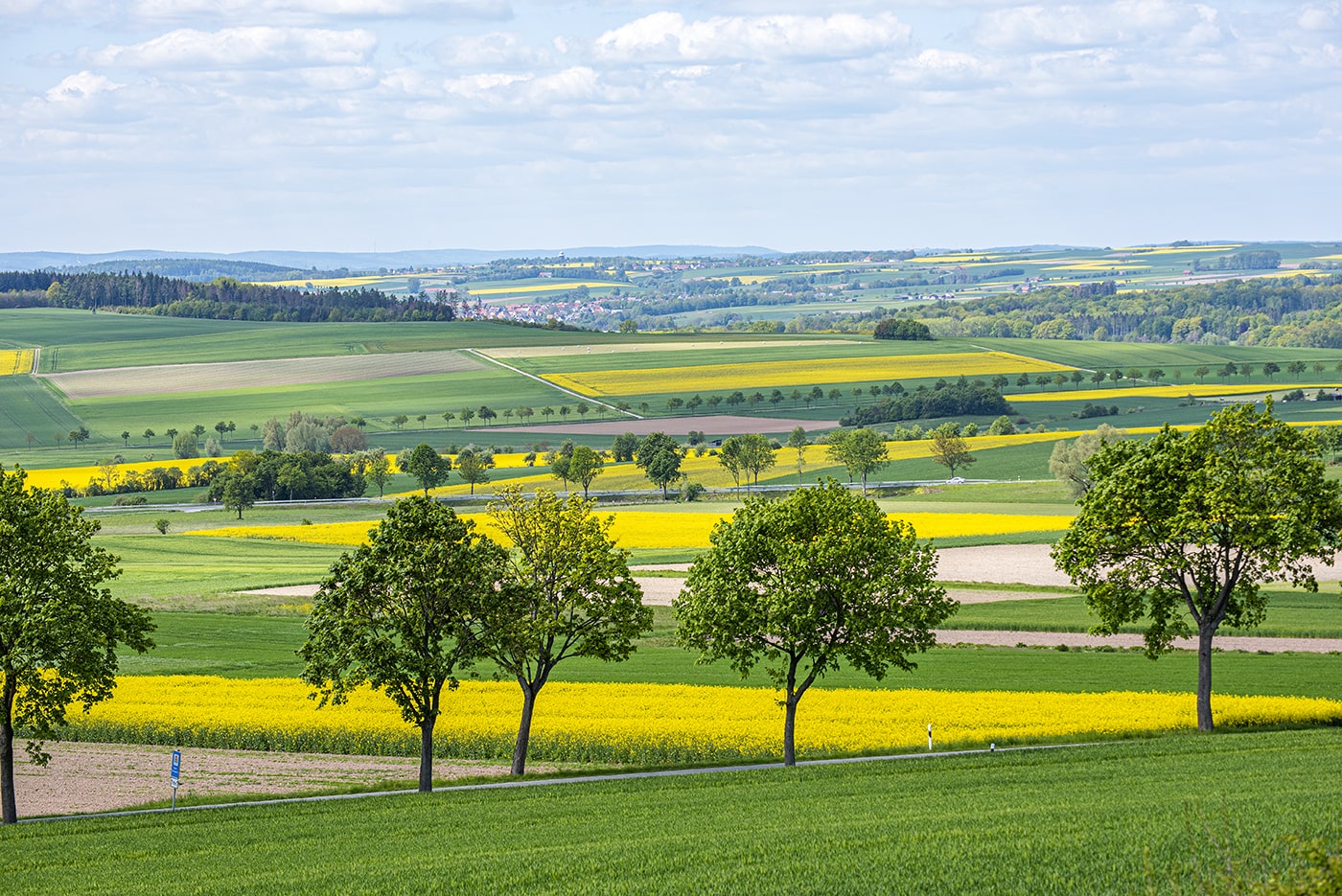 Borgentreich Stadtgebie-2019_0356-min