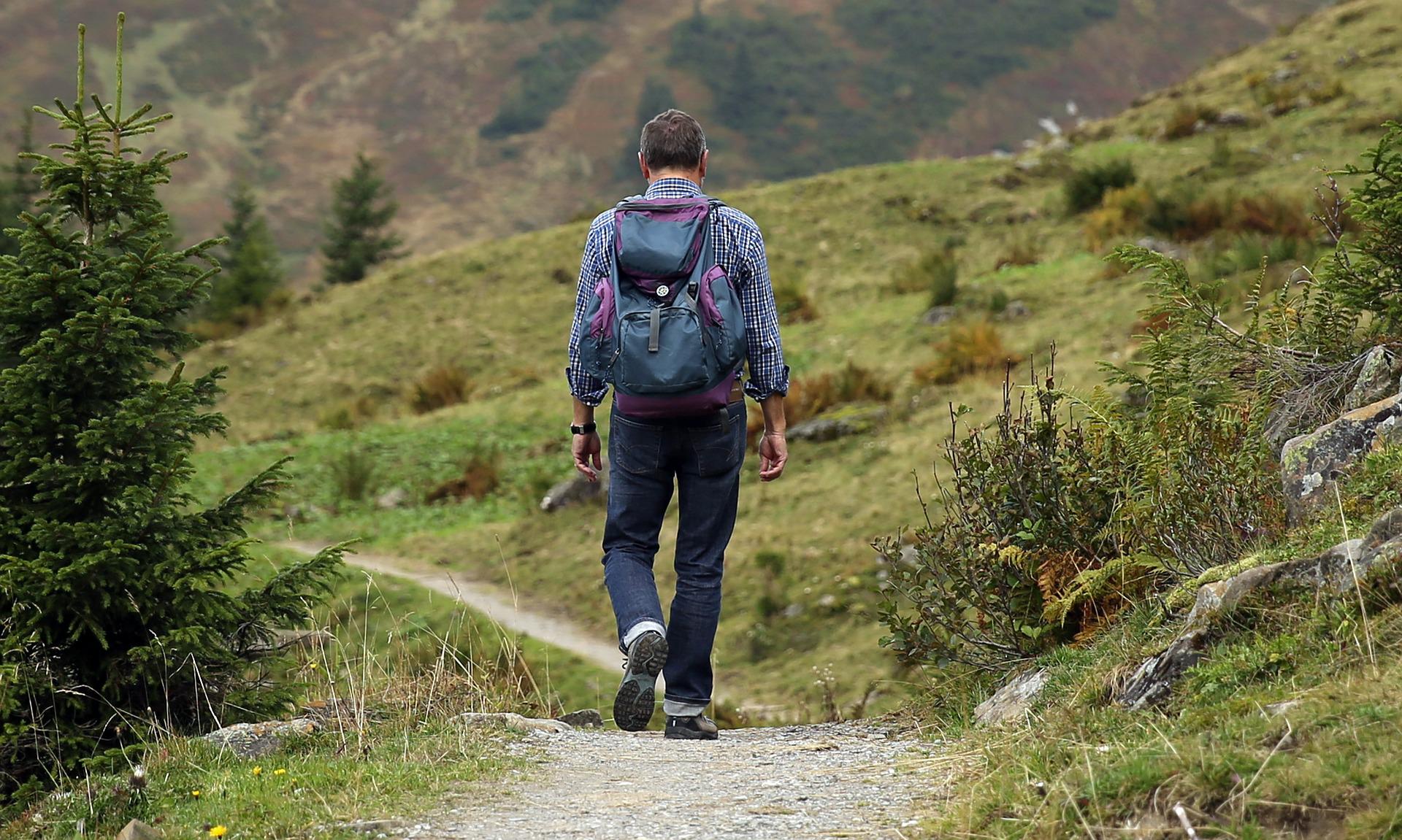 Wanderung zum Heidelbergturm