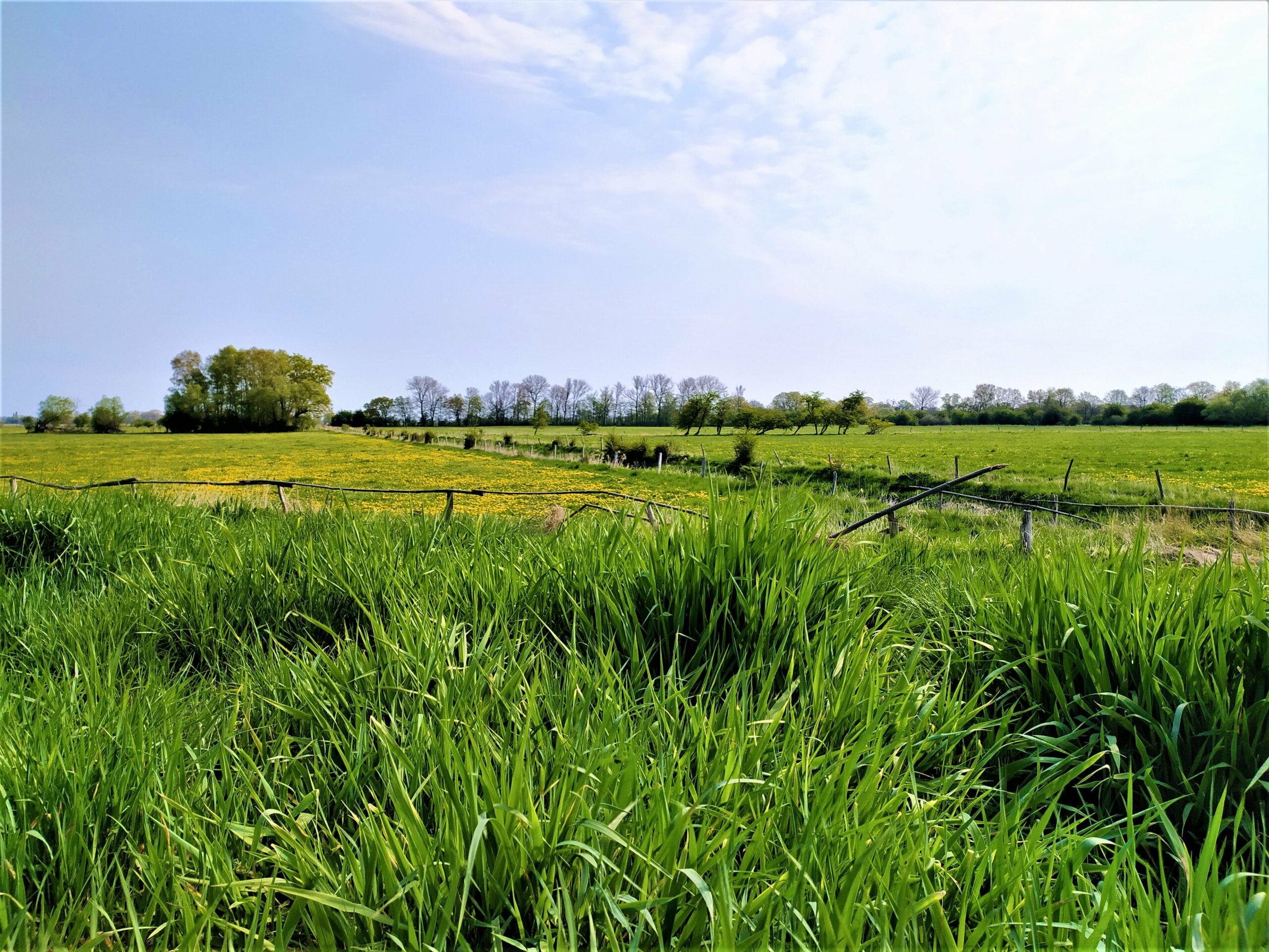 Campinggemeinde Kalbe Milde