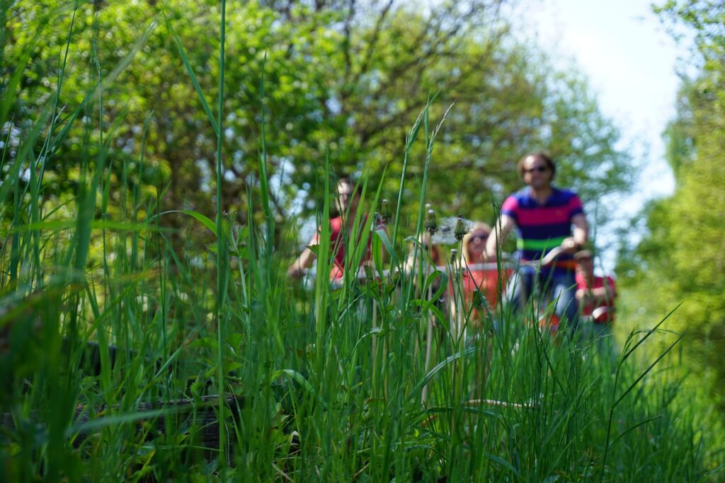 Mecklenburgische Seenplatte Camping Geheimtipp