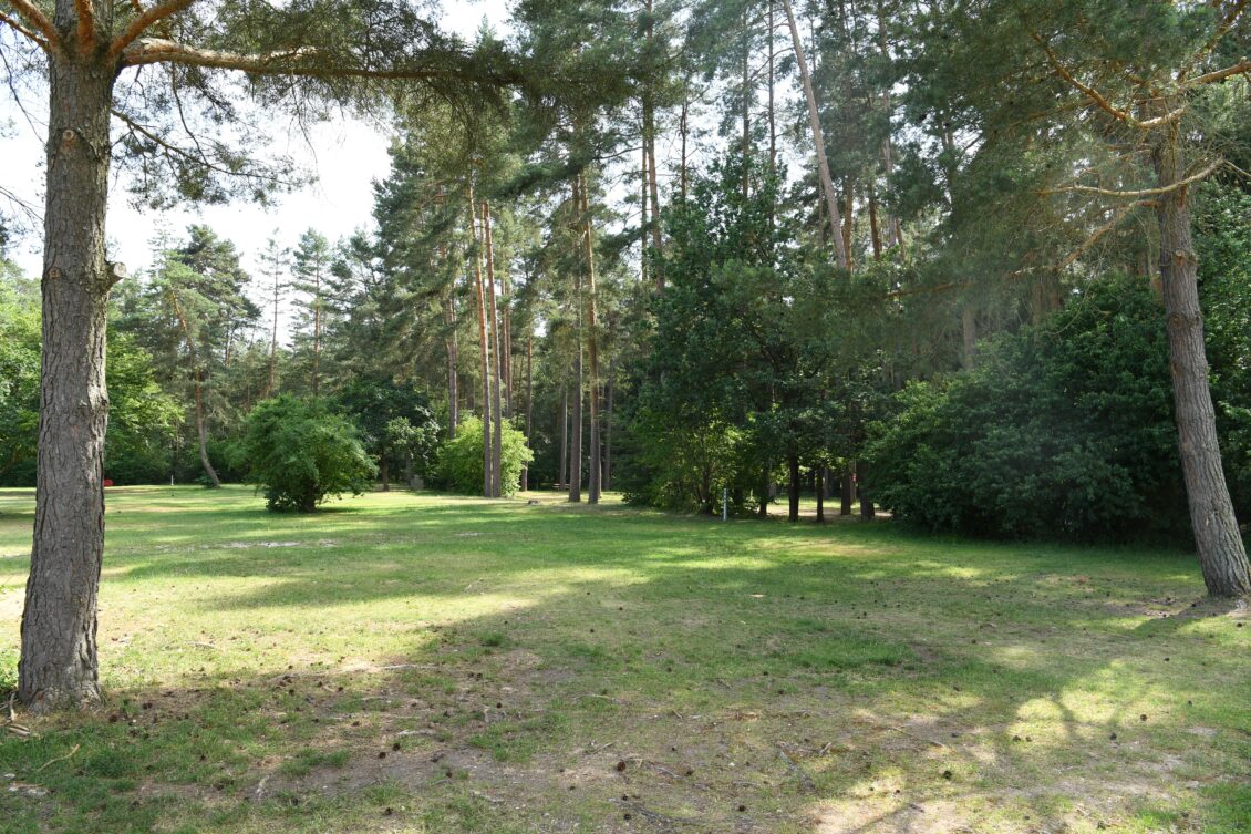 Camping am See Bayern 8 Geheimtipps AlpacaCamping