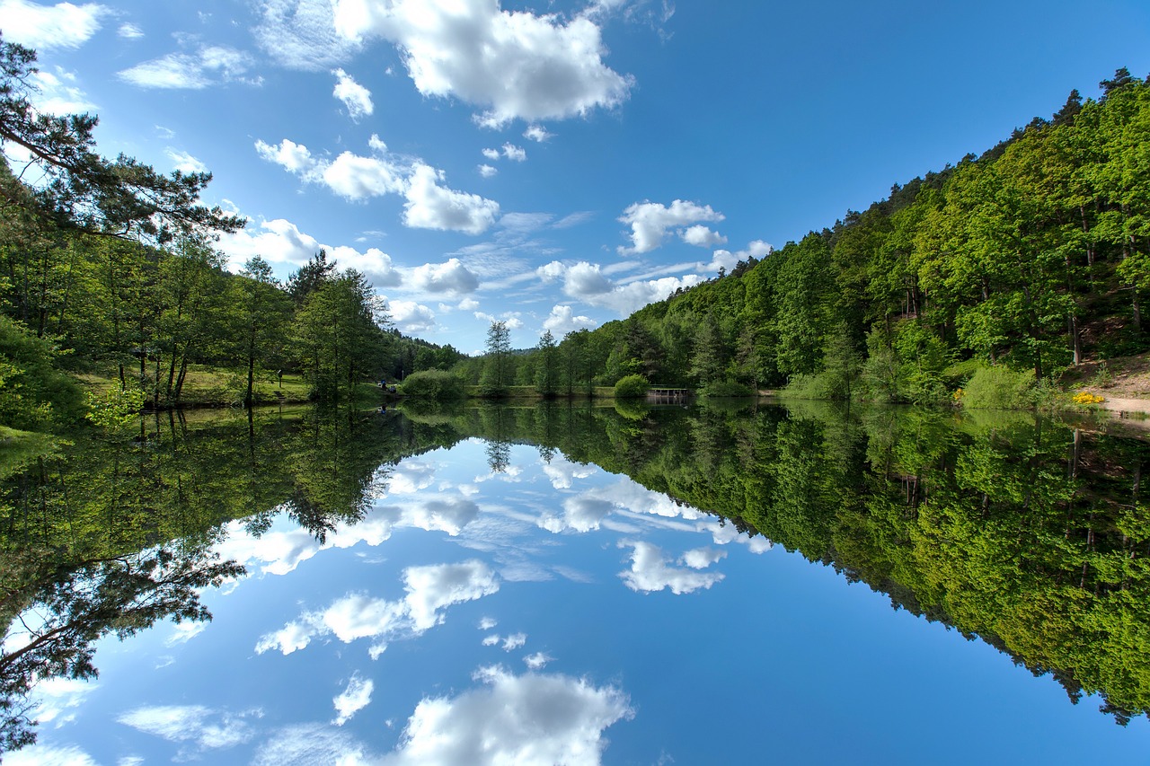 Geheimtipp Camping Schwarzwald