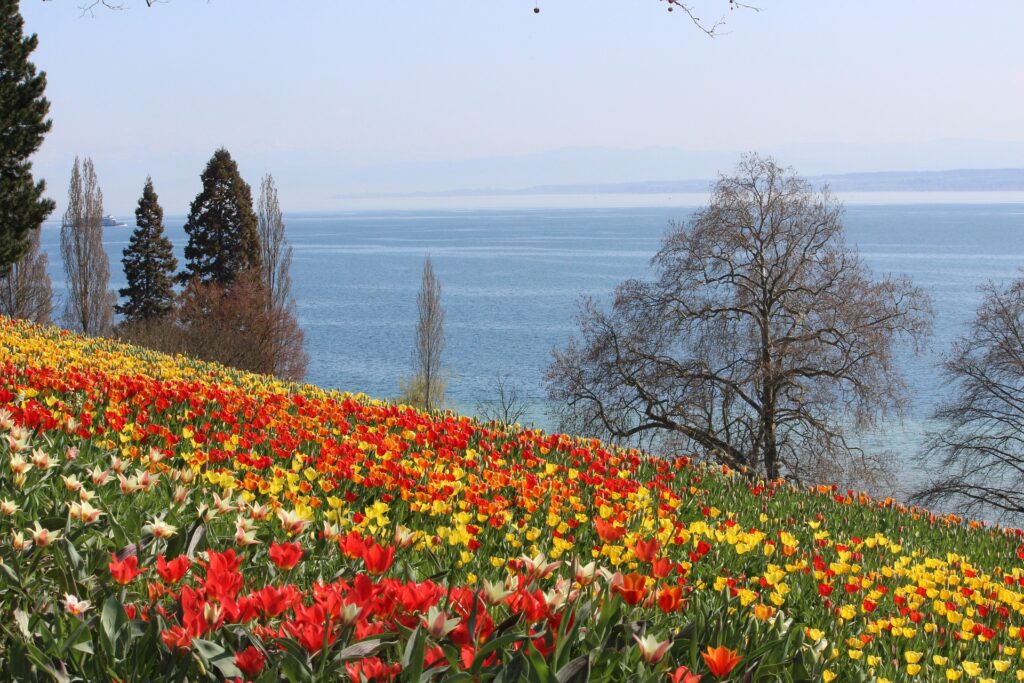 Campingplatz Bodensee