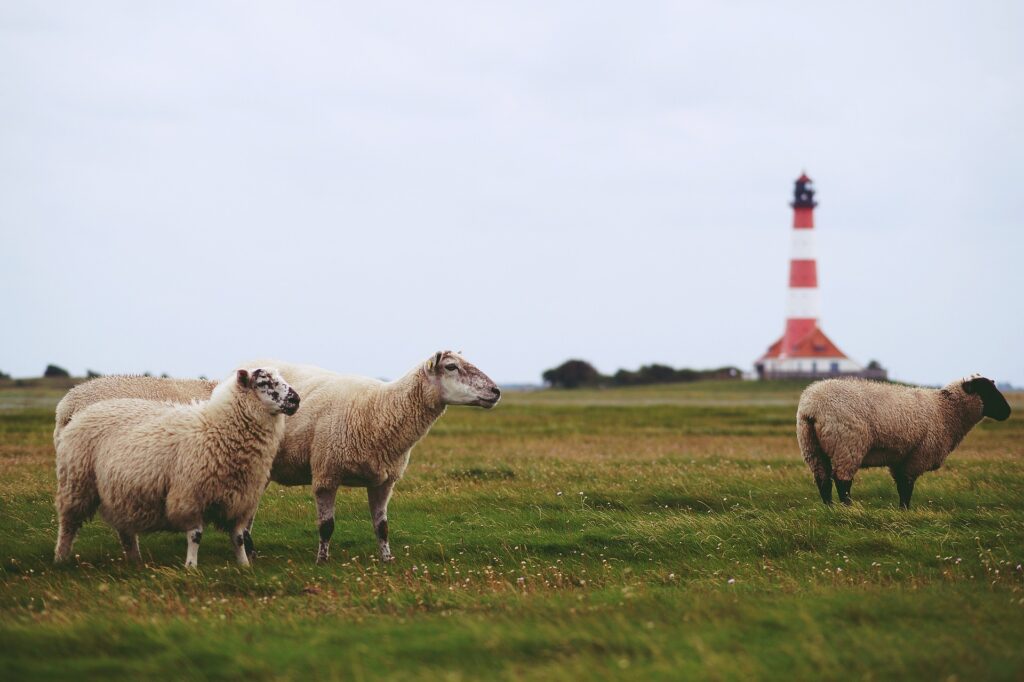 Nordsee Hooksiel