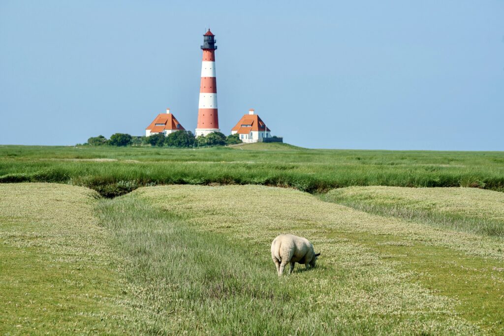 Nordsee Leuchtturm