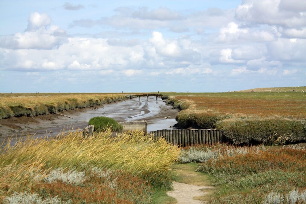 Nordsee Schleswig-Holstein