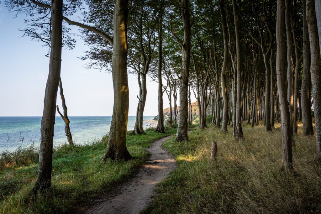 Campingplatz Ostsee