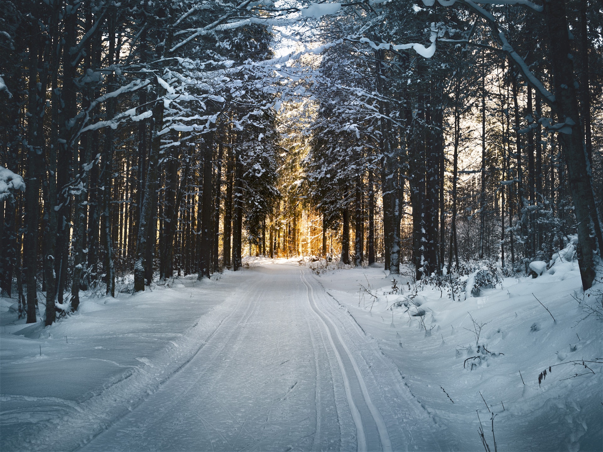 frostwächter wohnmobil