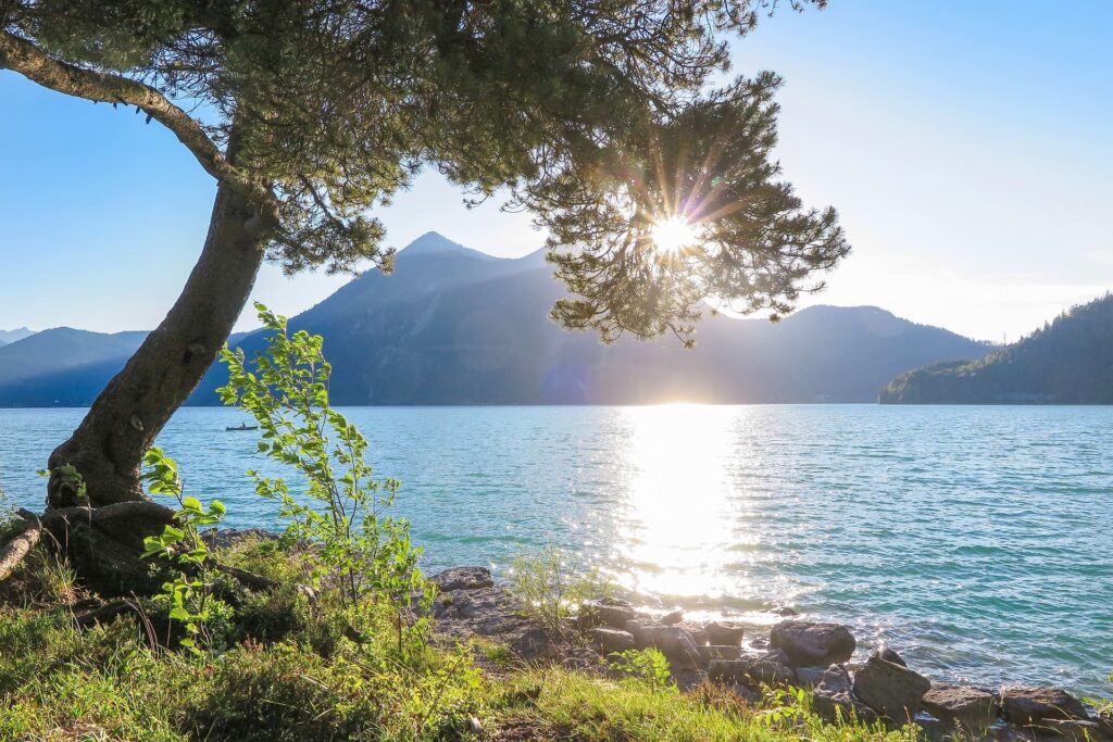 Campingplatz Demmelhof Bayern Walchensee