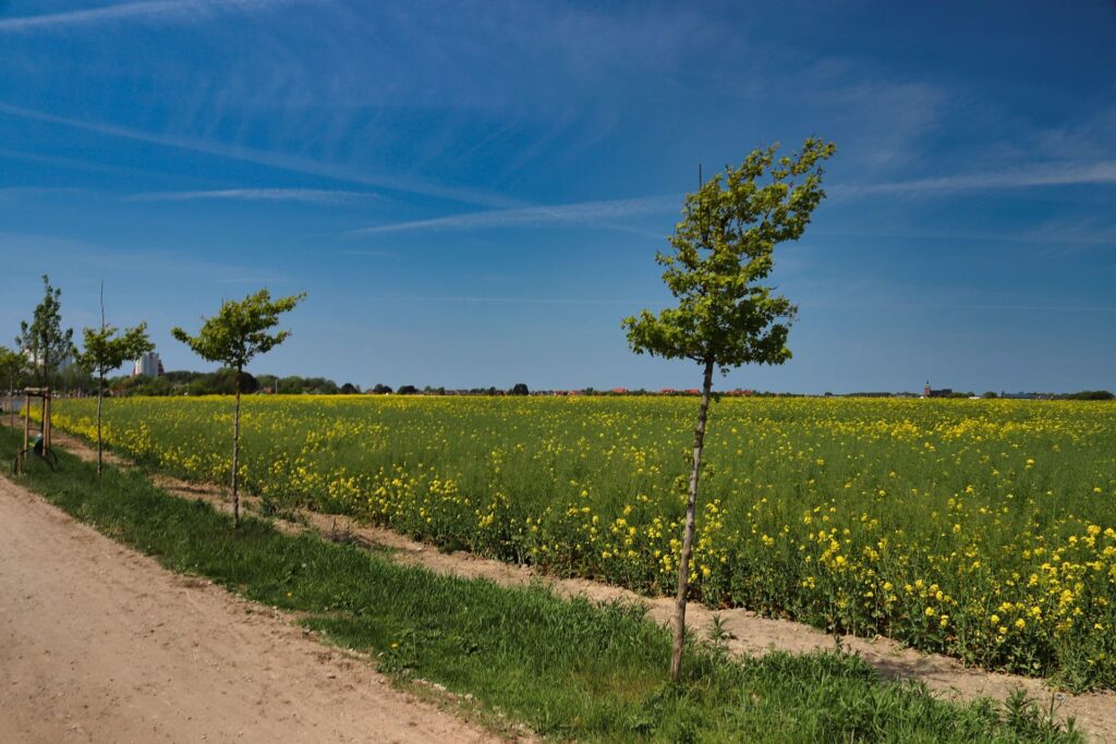 Campingplatz Klausdorfer Strand