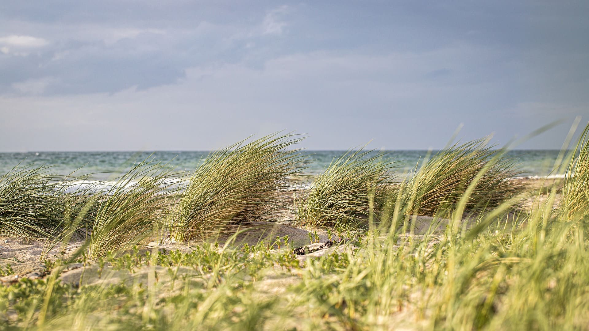 Campingplatz Fehmarn