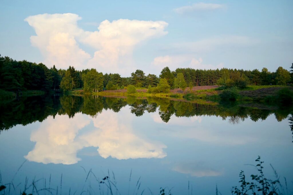 malerischer See in der Natur