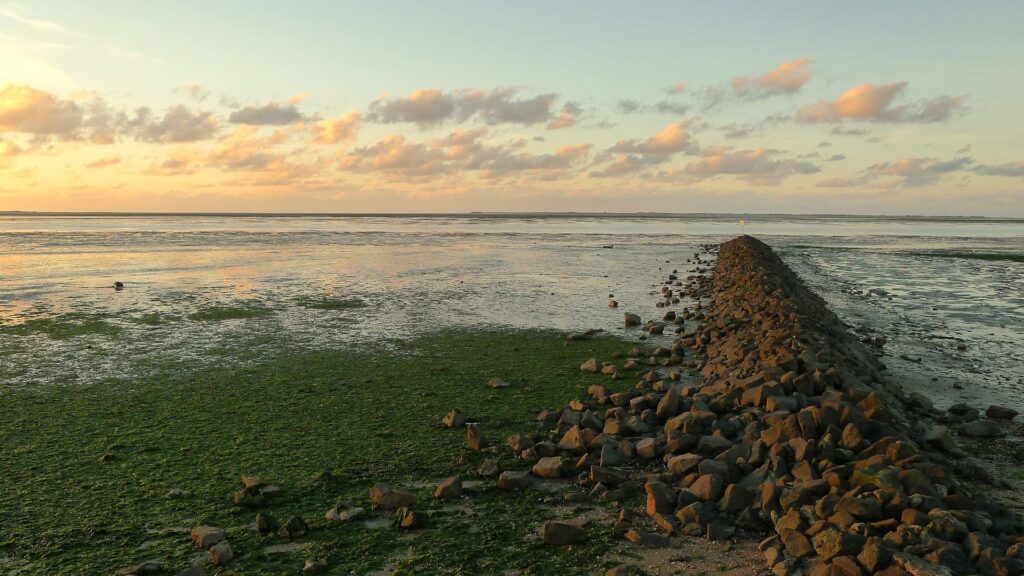 Nordsee-Camping Campingplatz