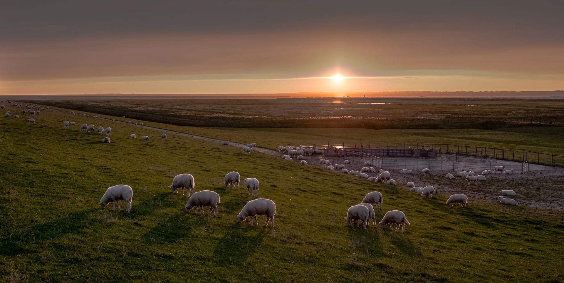 Campingplatz Neuharlingersiel: Traum an der Nordsee | AlpacaCamping Campingplatz Neuharlingersiel: Traum an der Nordsee | AlpacaCamping
