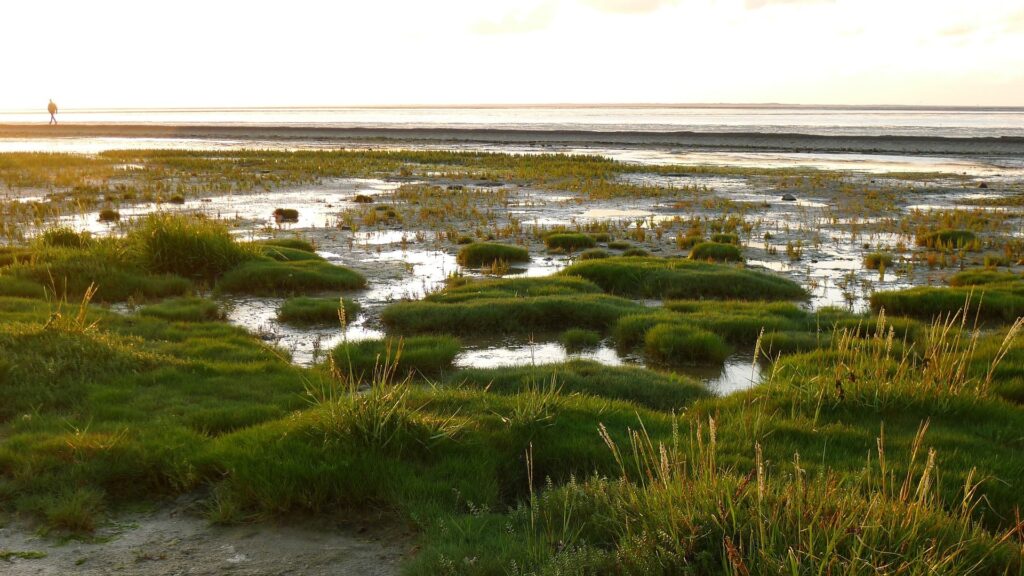 Campingplatz Nordsee-Camping Neuharlingersiel