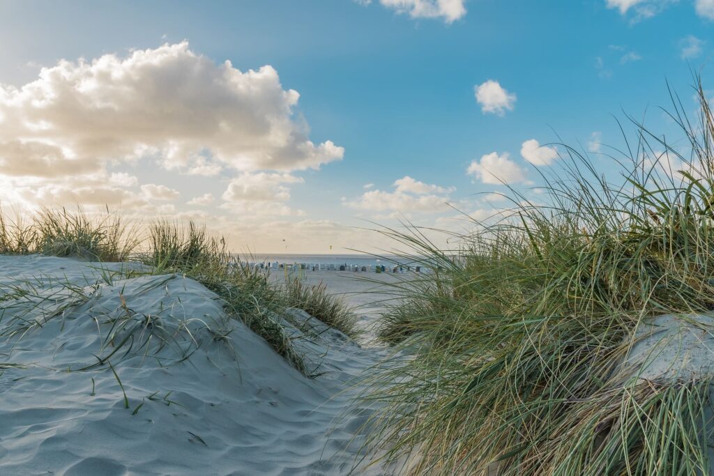 Strand an der Nordsee