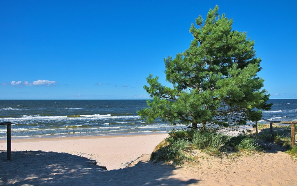 Geheimtipp Camping Polen Ostsee Camping Biały Dom Strand