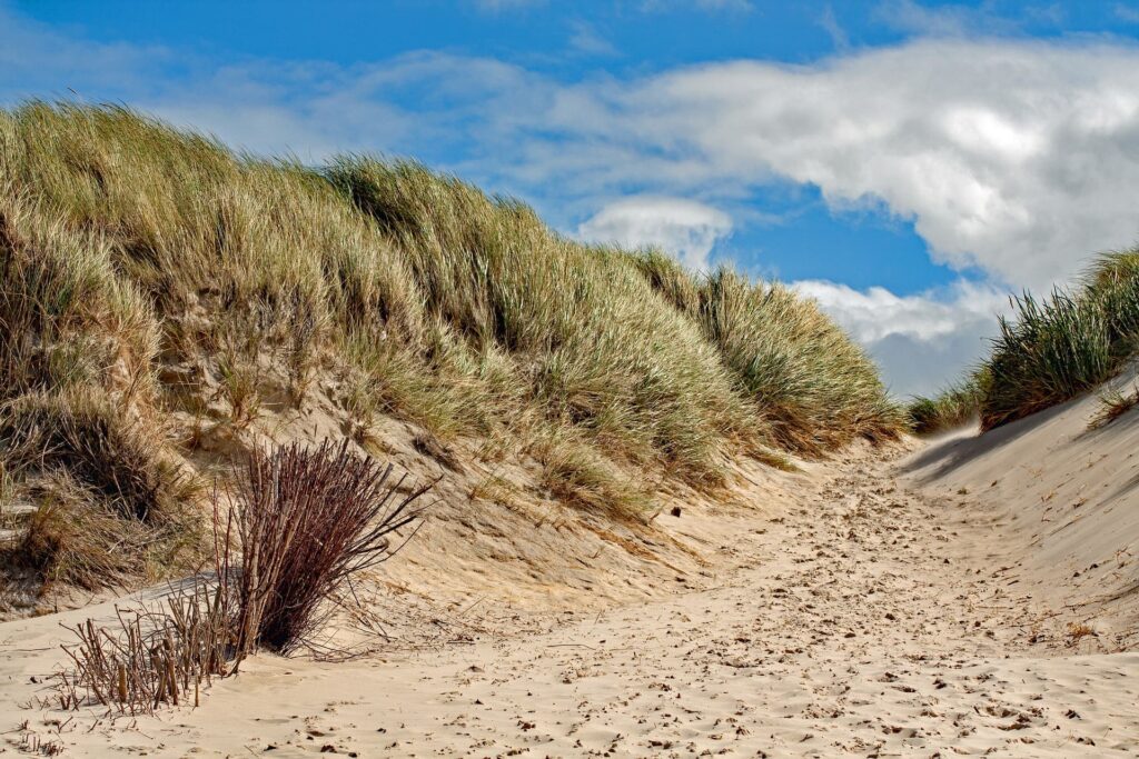 Campingplatz Amrum