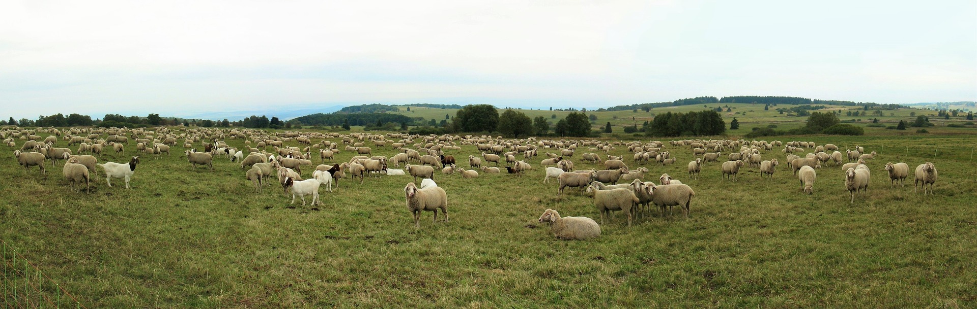 Camping Rhön