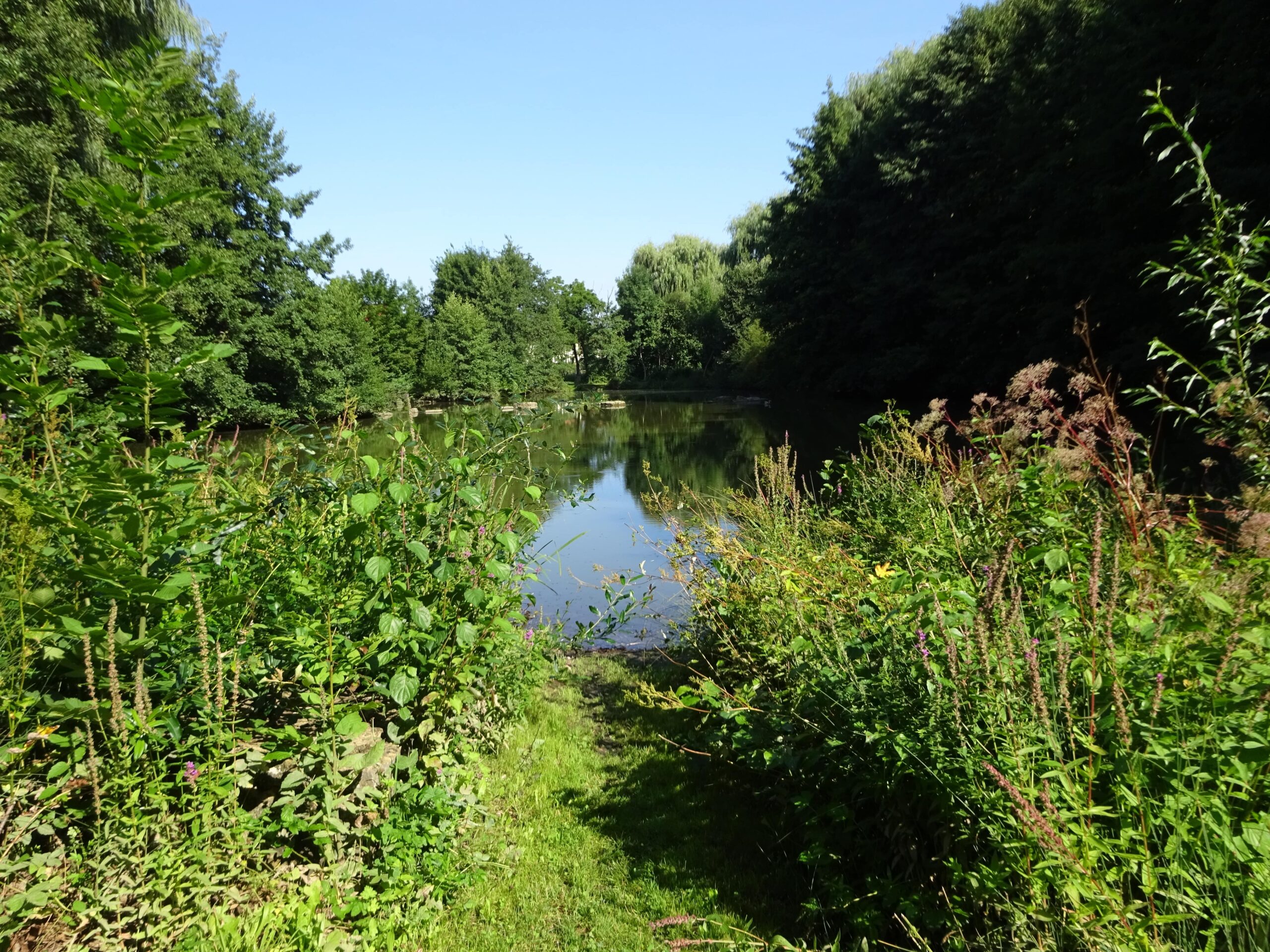 Mühlbachweiher