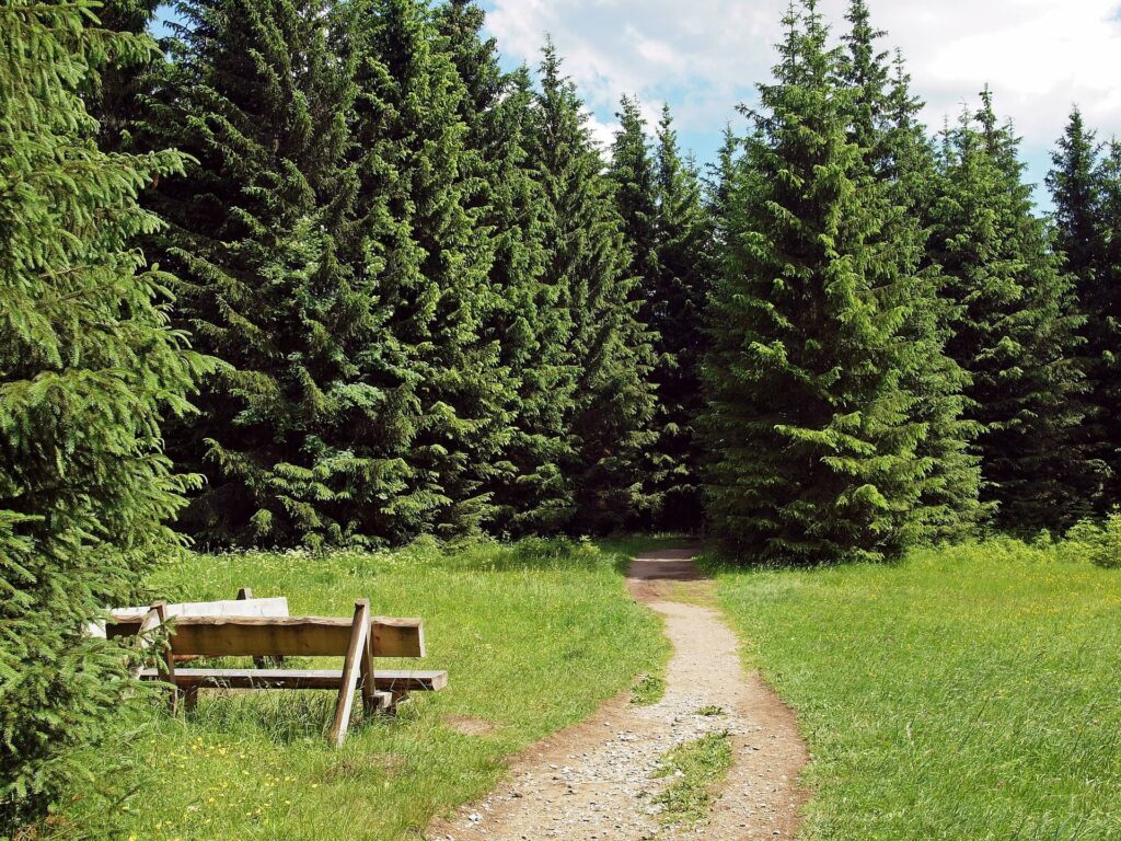 campingplatz harz