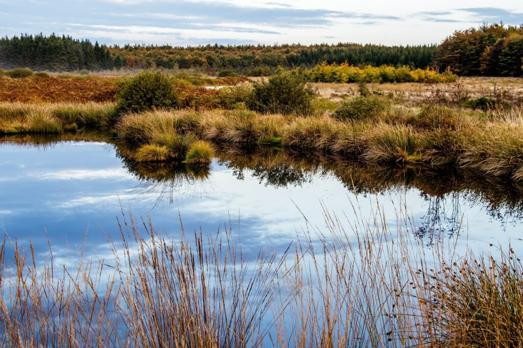 Rotes Moor Schwarzes Moor