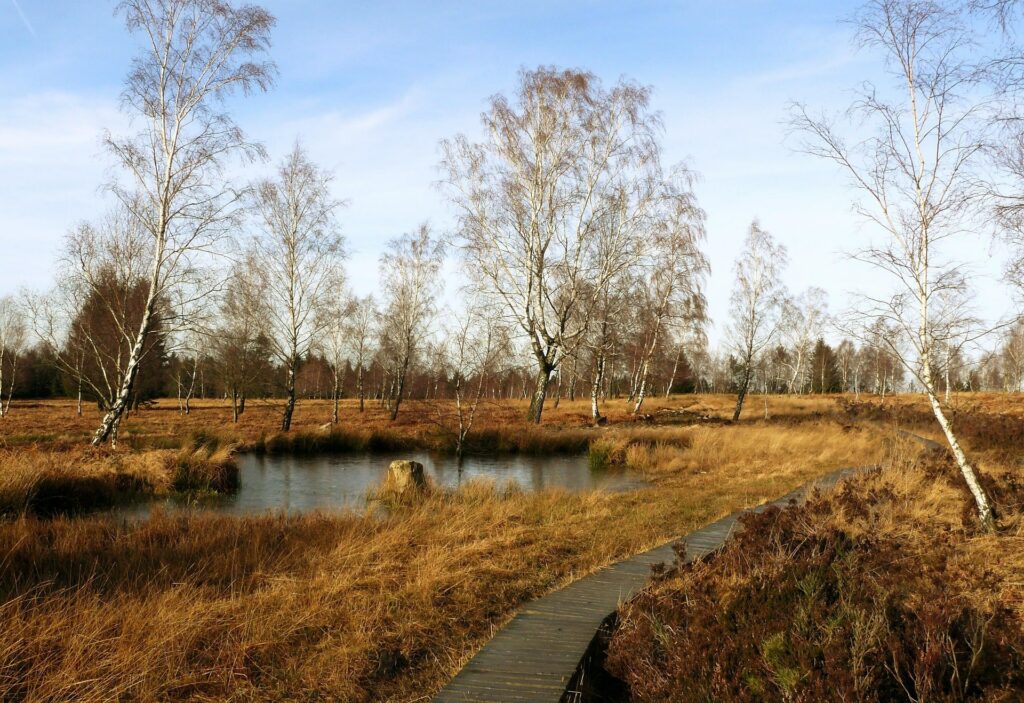 Morlandschaft Rhön