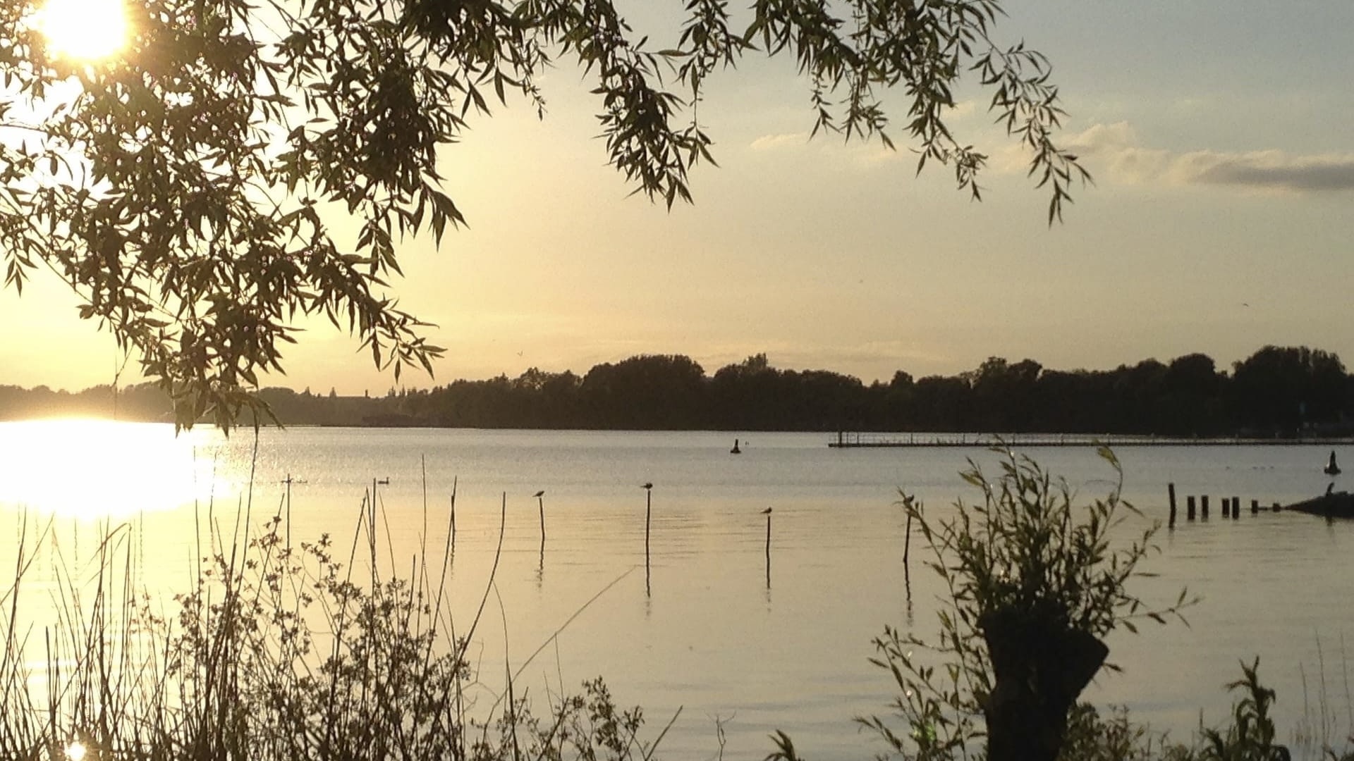 campingplatz müritz