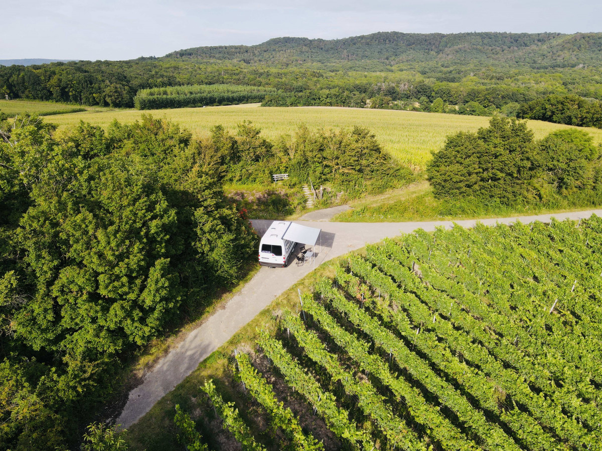Wohnmobilstellplatz in den Weinbergen der Pfalz