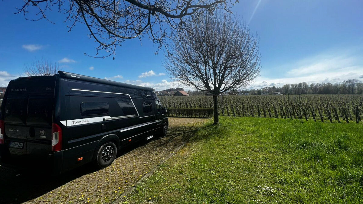 Deutsche Weinstraße Stellplatz Lindau