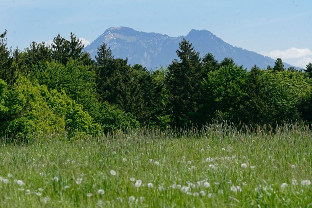 Campingplatz Chiemsee