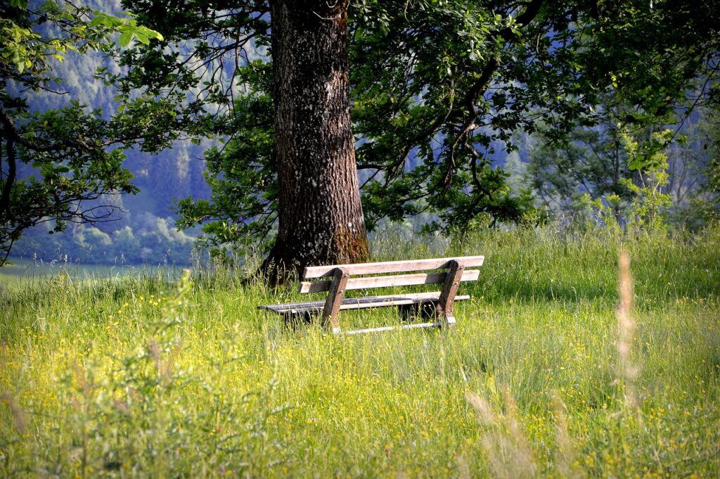 allgäu_alpen_camping