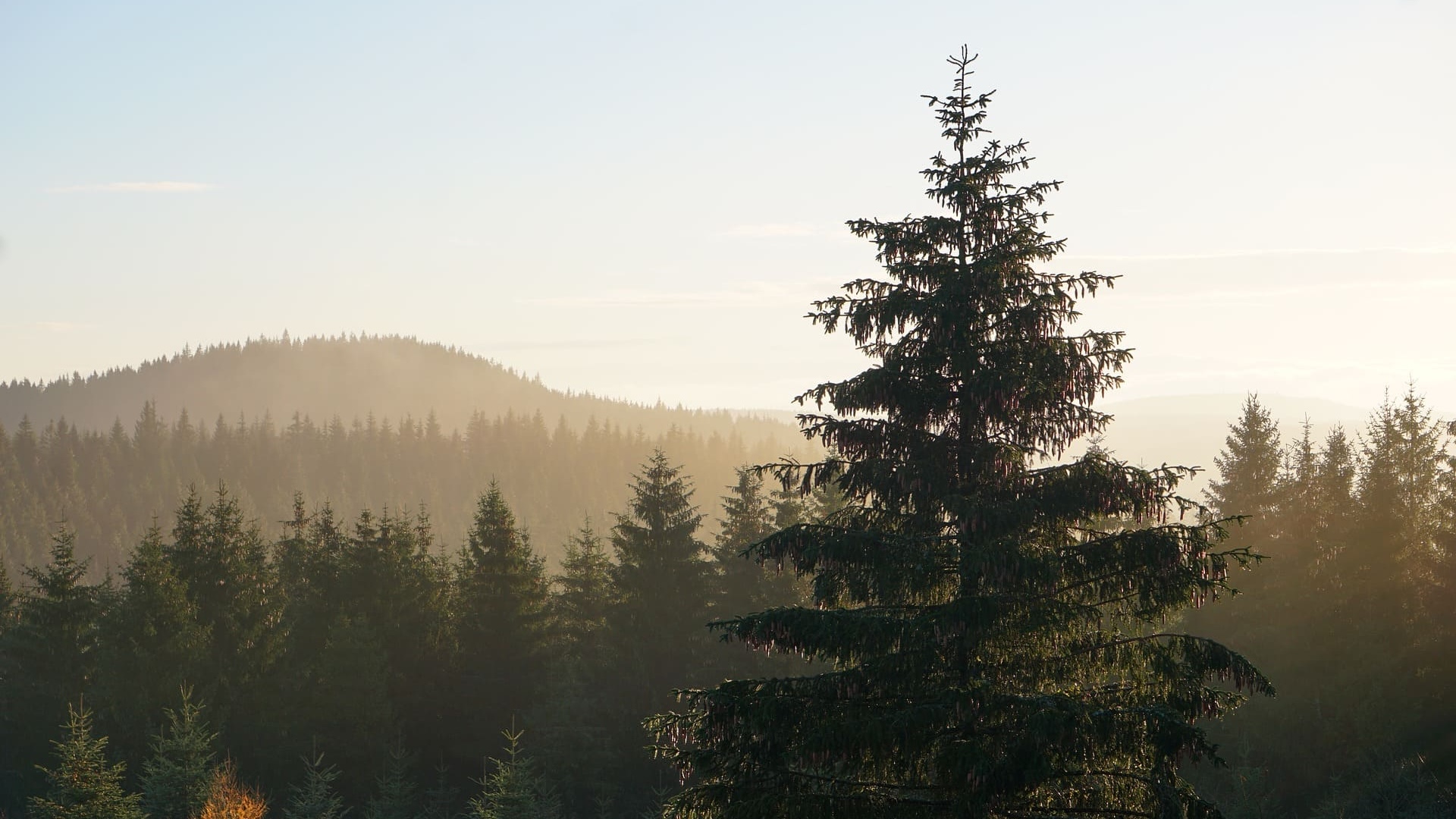 fkk camping thüringer wald