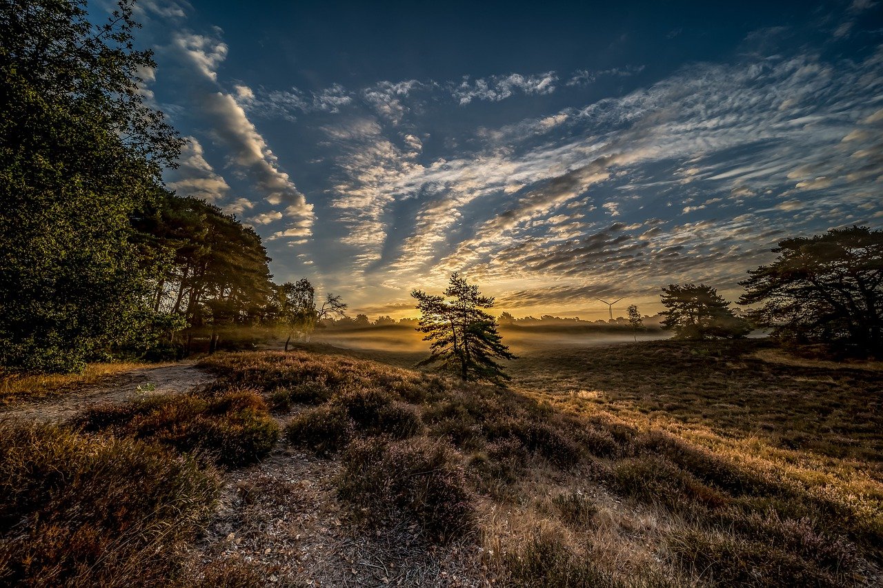 Campingpark Buntspecht