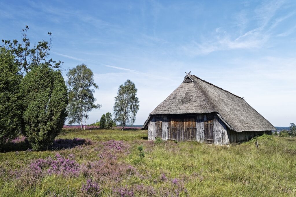 Campingpark Buntspecht