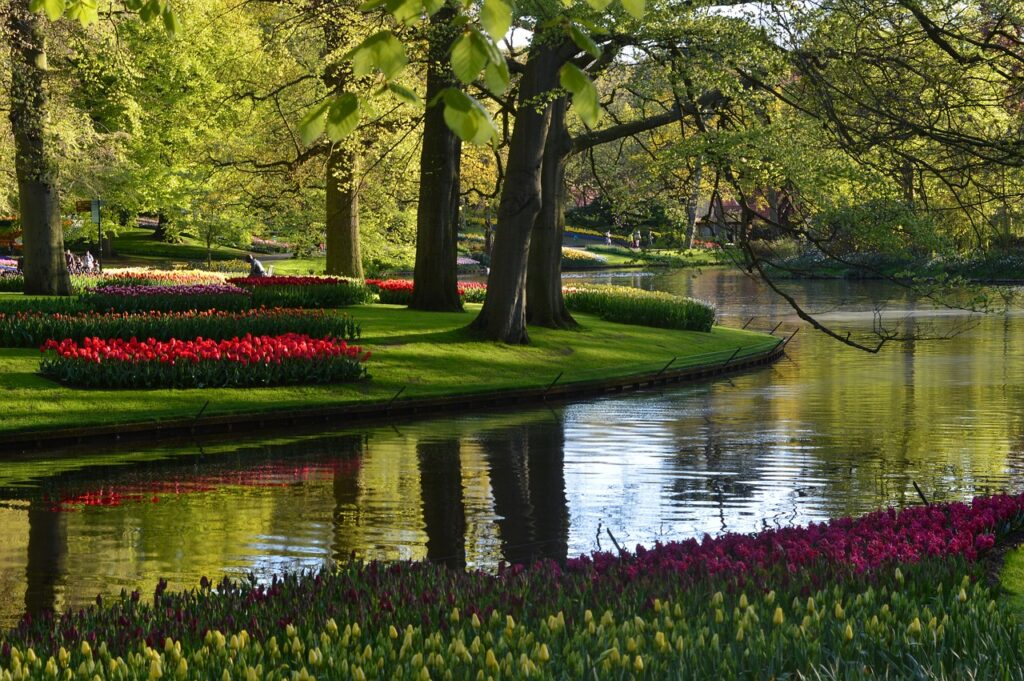 Campingplatz Amsterdam Blumen