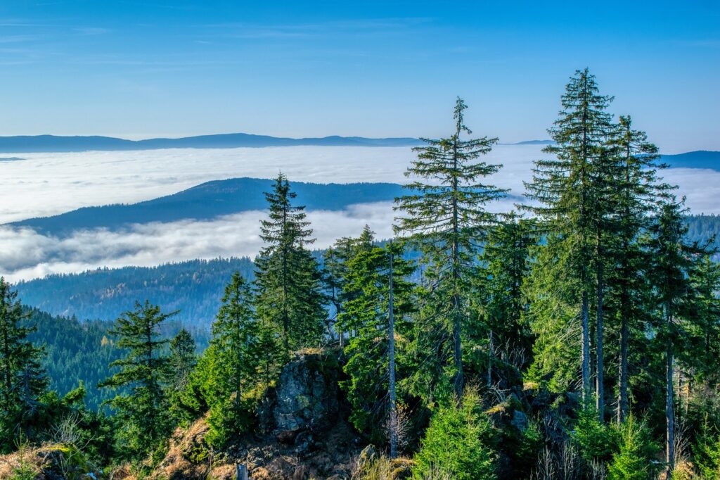 Campingplatz Bayerischer Wald Aussicht schön