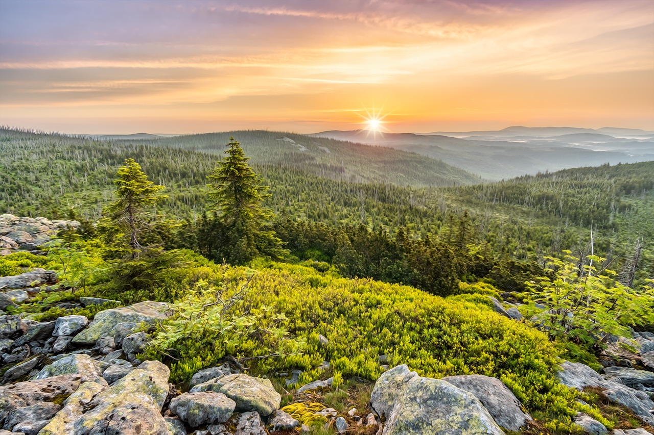 Campingplatz Bayerischer Wald Aussicht