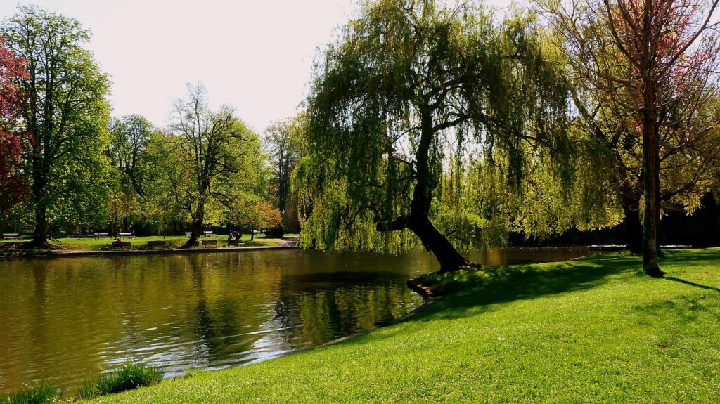 Campingplatz Kehl