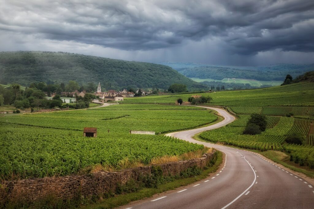 Frankreich Feld