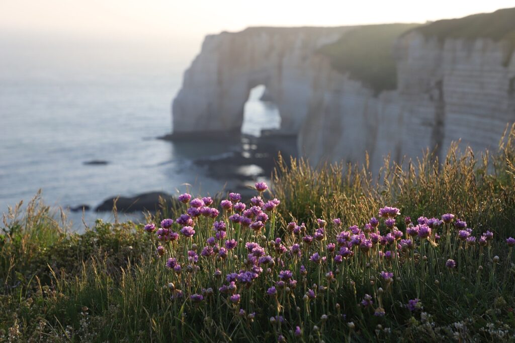 Frankreich Felsen