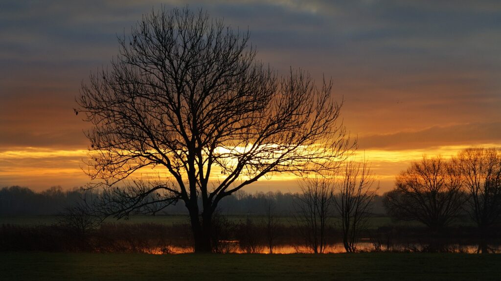 Hameln Sonnenuntergang