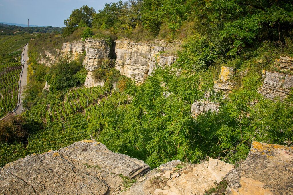 Neckar Campingplatz