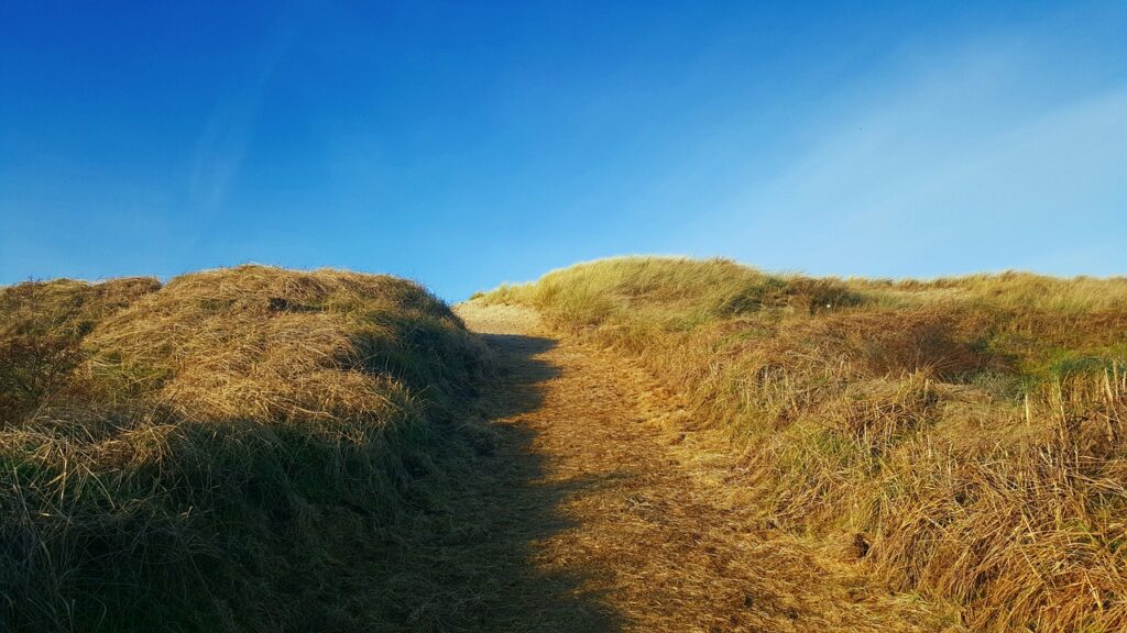 Texel Campingplatz