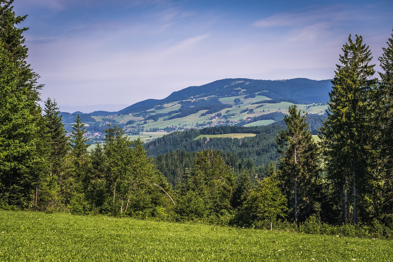 Campingplatz Schwarzwald