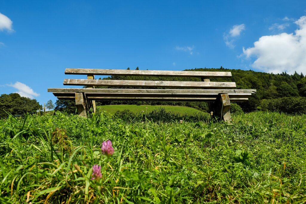 Campingplatz Schwarzwald