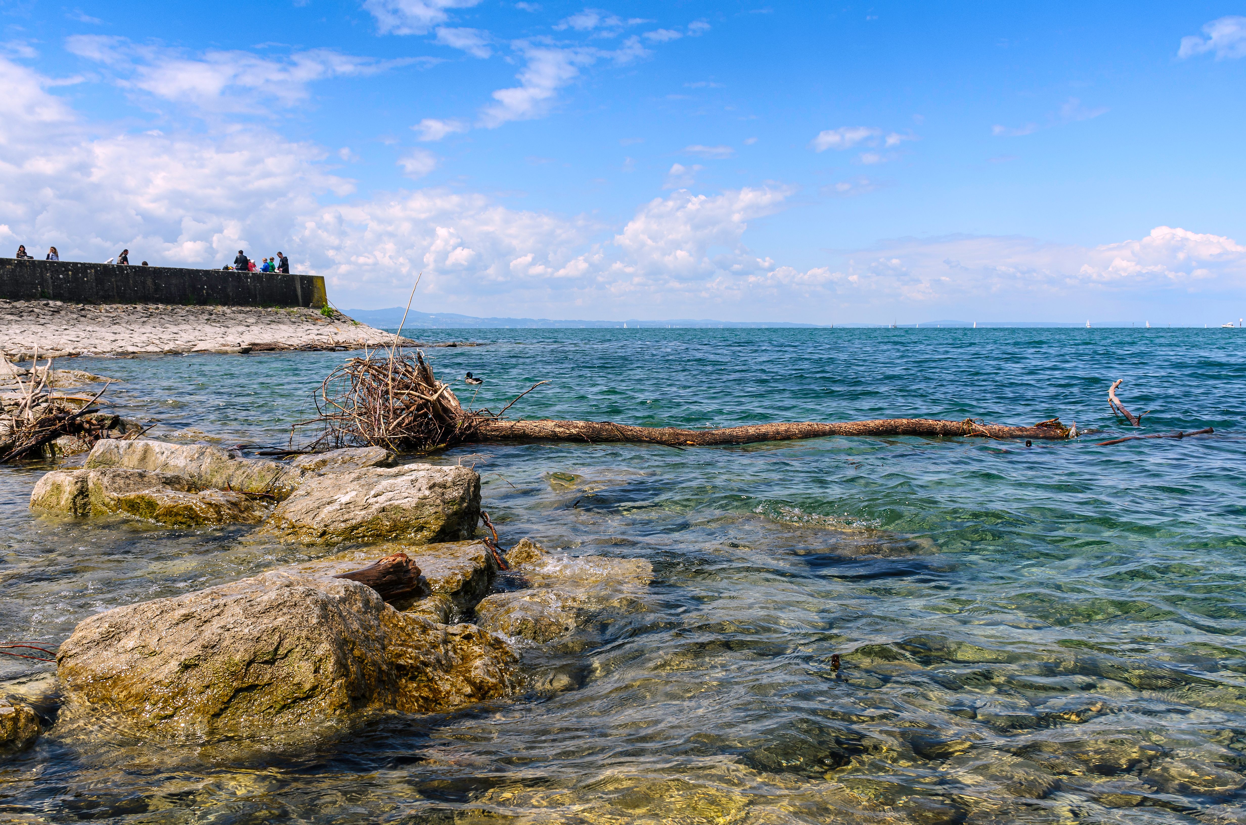 Bodensee am Untersee bei Gaienhofen